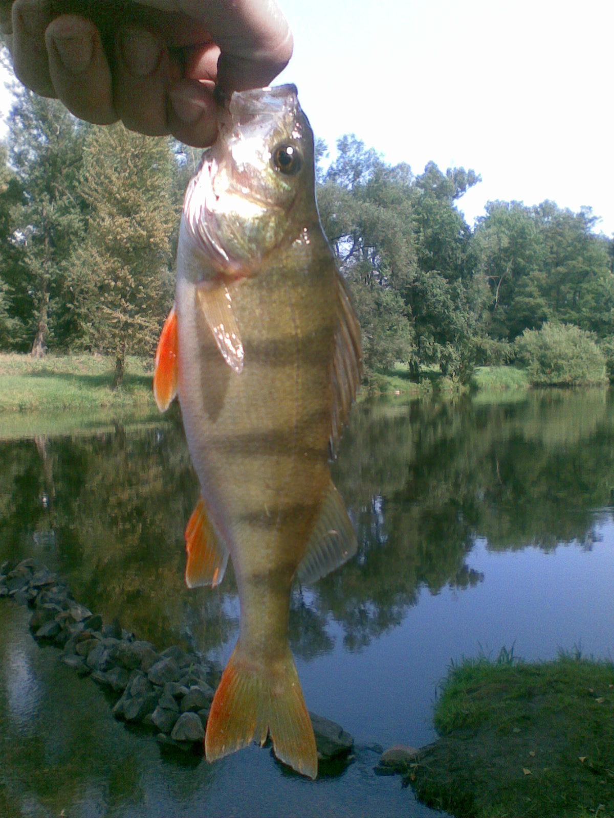 Obraz019.jpg